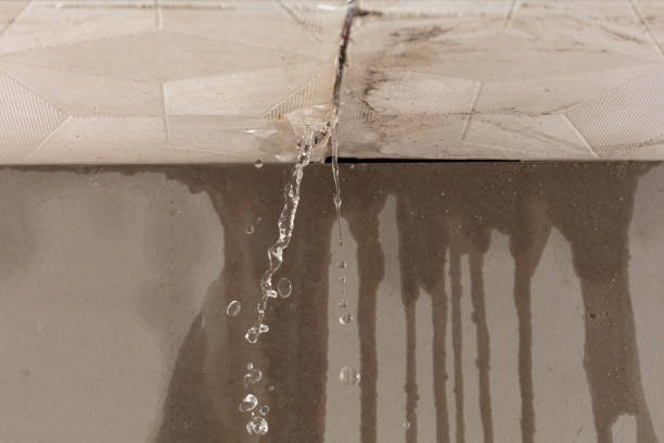 Professional Structural Drying technician working in New Harbor, ME